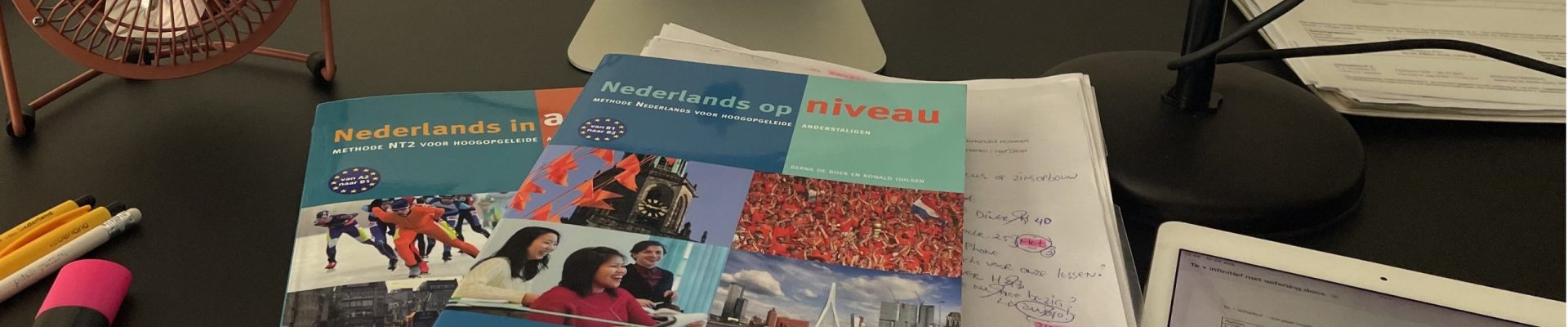 Nederlands voor anderstalige professionals