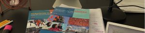 Nederlands voor anderstalige professionals